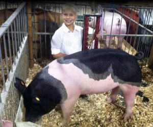 2014 Montgomery County Reserve Champion Market Hog