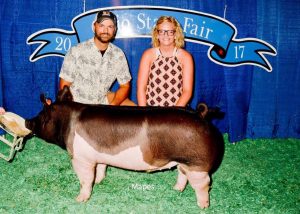 2017 Ohio State Fair Cross Barrow Class Winner shown by McKenzie Palmer