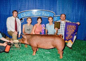 2017 Ohio State Fair Champion Junior Tamworth Gilt (Purchased from Loof) shown by Grant Kaffenbarger