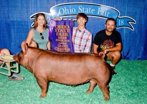 2018 Ohio State Fair Champion Tamworth Barrow shown by Grant Kaffenbarger