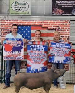 2019 OH Pigs Memorial Day Classic Champion Tamworth Barrow shown by Gracie McHenry