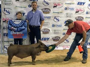 2019 OH Pigs Champion Tamworth Barrow shown by Jacob Hiles