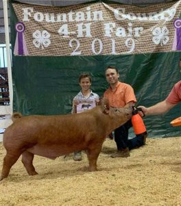 2019 Fountain County (IN) Champion Tamworth Barrow & 3rd overall Market Hog shown by Wyatt Nixon