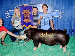 2019 Ohio State Fair Open Champion Poland China Gilt (Purchased from Laird) shown by Tyler Brewer