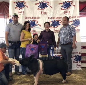 2019 Clark County Ohio Market Barrow 2 Reserve Champion shown by Hannah Smith-Moore