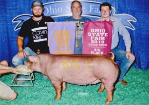 2019 Ohio State Fair 4h Overall Tamworth Gilt shown by Liam Shellhouse