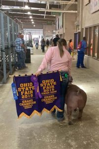 2019 Ohio State Fair Junior & Open Champion Tamworth Barrow shown by Gracie McHenry