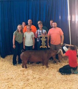 2019 Indiana State Fair 5th Overall Tamworth Gilt shown by the Prickett family