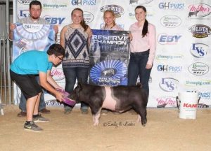 2019 OH Pigs Real McCoy Cross Barrow Champion and Reserve Overall Market Hog shown by Jessica McHenry