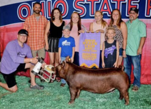 2021 Ohio State Fair RChampion Tamworth Barrow shown by Jessica McHenry